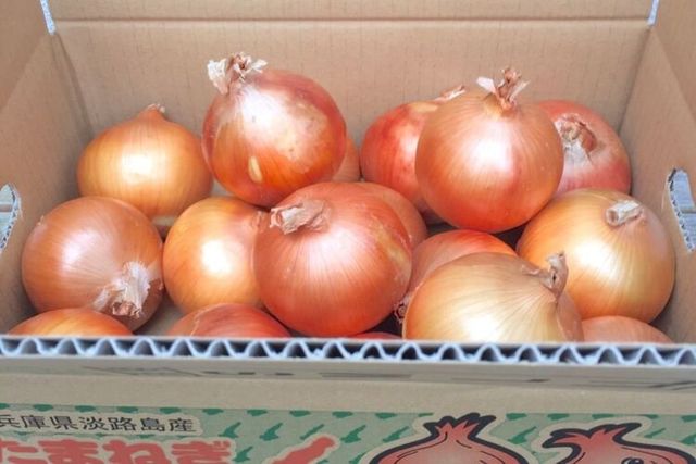 Photo by ケンちゃんファーム