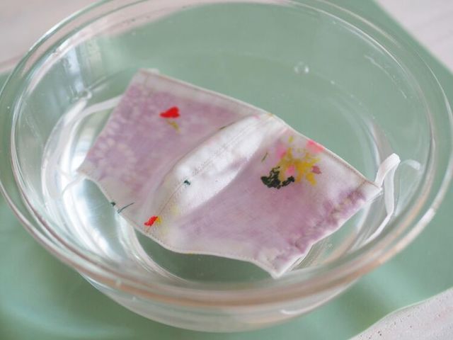 Photo by muccinpurin