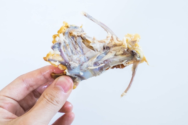 Yuya Hayashi / BuzzFeed