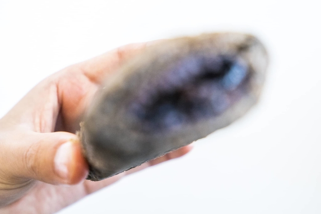 Yuya Hayashi / BuzzFeed