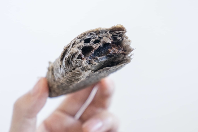 Yuya Hayashi / BuzzFeed