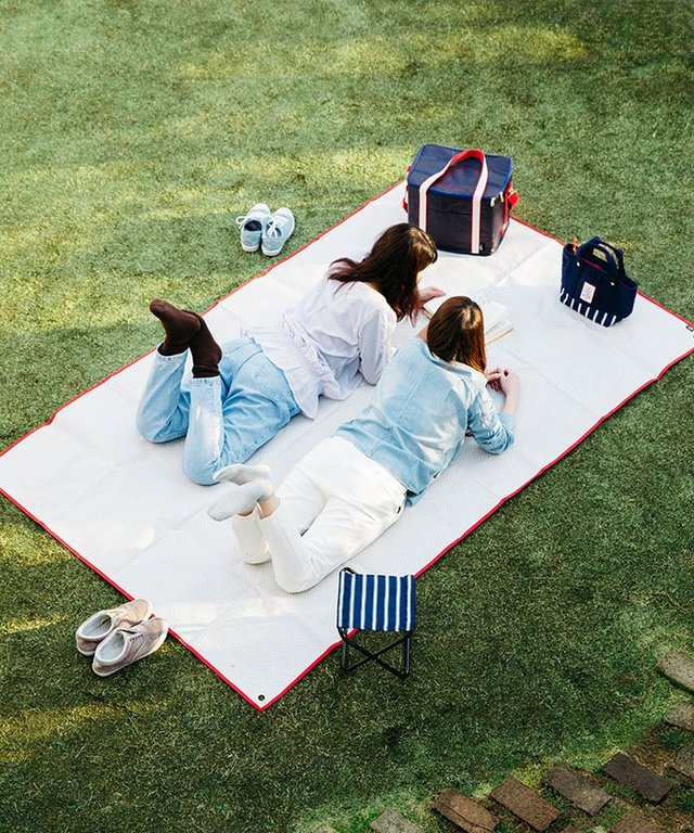 PPレジャーシートM