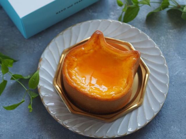 Photo by muccinpurin