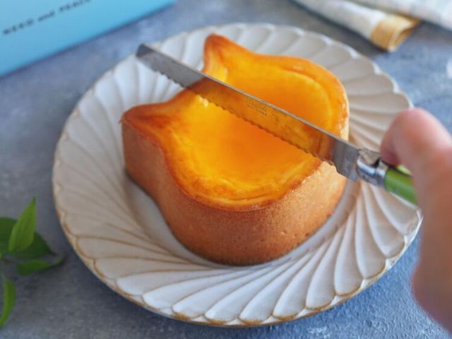 Photo by muccinpurin