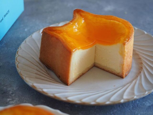 Photo by muccinpurin