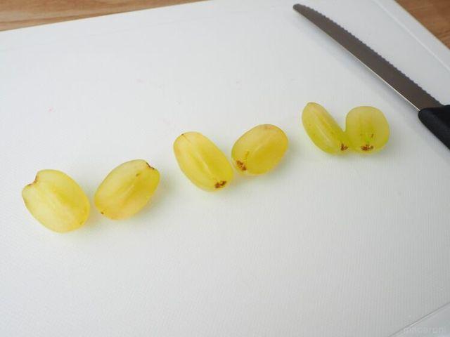 Photo by きたやまあさみ