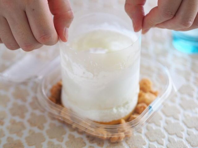 Photo by muccinpurin