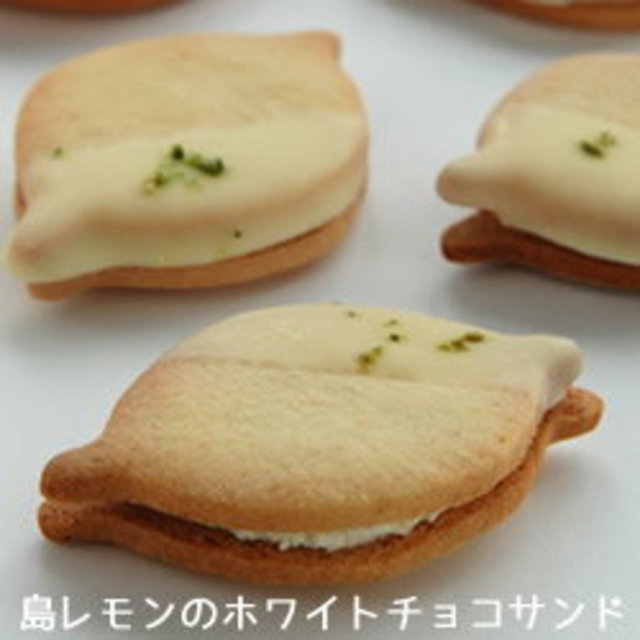 島レモンのホワイトチョコサンドクッキー（10個入）