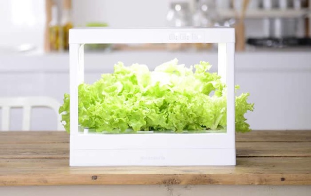 LED プランター 水耕栽培キット グリーンテリア