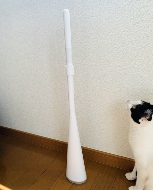 Sutisa Sudo/BuzzFeed