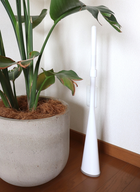 Sutisa Sudo/BuzzFeed