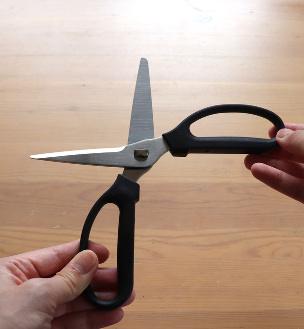 Sutisa Sudo/Buzzfeed