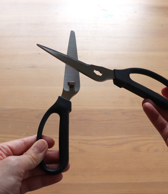 Sutisa Sudo/Buzzfeed