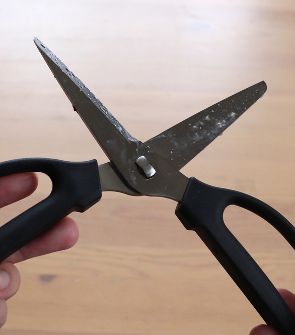 Sutisa Sudo/Buzzfeed