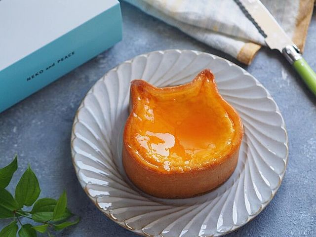 Photo by muccinpurin