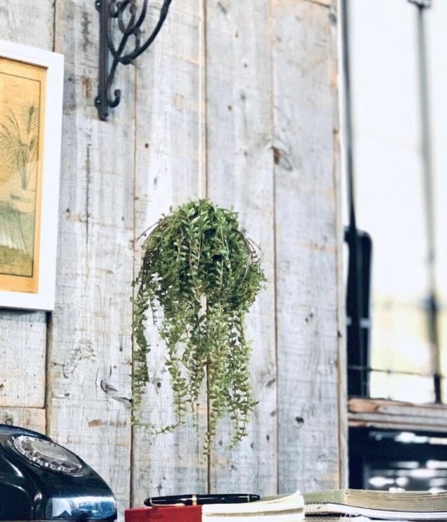 フェイクグリーン ハンギングコケ玉 三日月グリーンネックレス