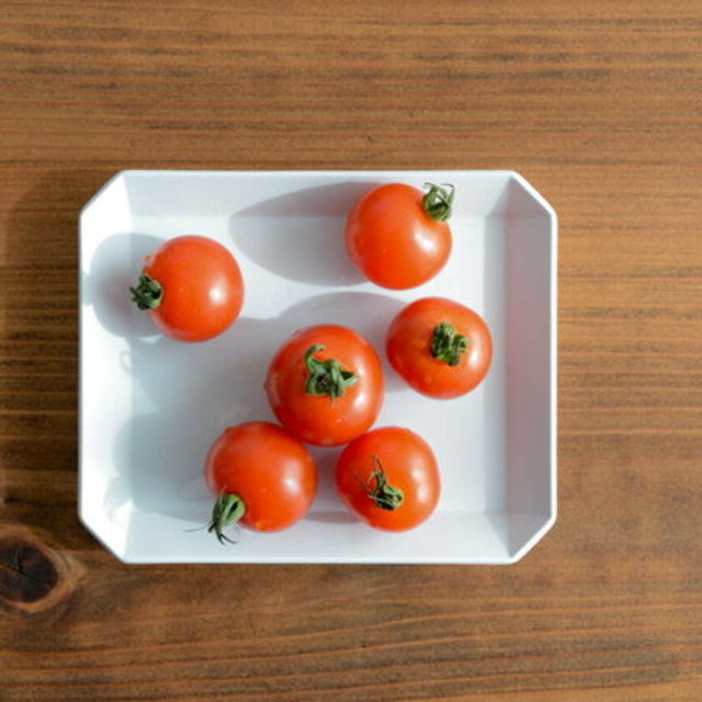 TY “Standard” スクエアプレート