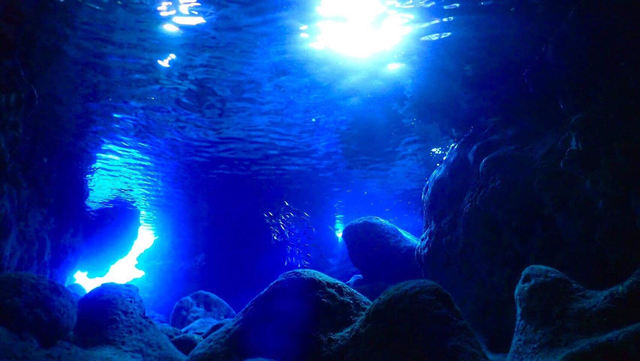 伊良部島観光ガイドゆうむつ