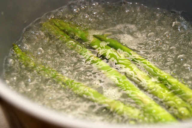 Photo by 前田未希