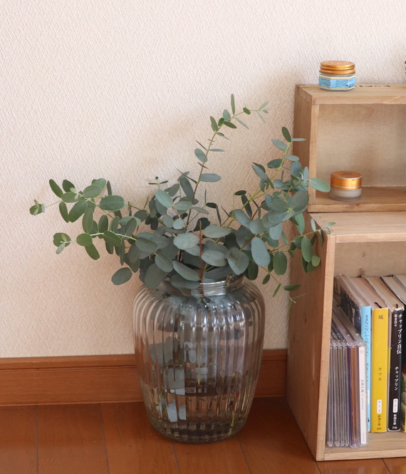 Sutisa Sudo/BuzzFeed