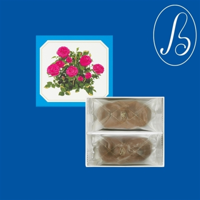 ショコラサブレ　8枚入