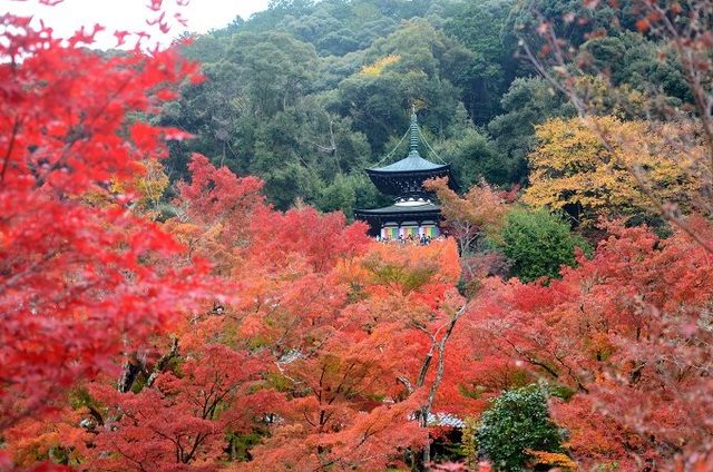 photo：Shutterstock