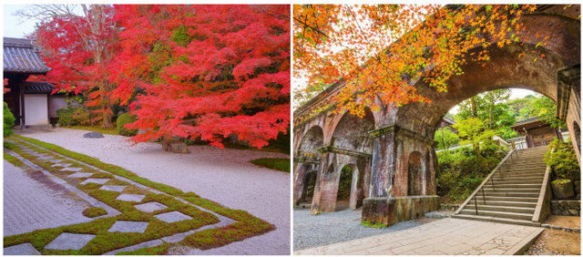 photo：Shutterstock