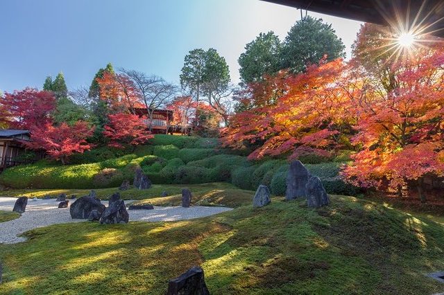 photo：Shutterstock