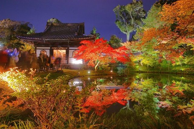 photo：Shutterstock