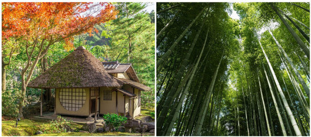 photo：Shutterstock