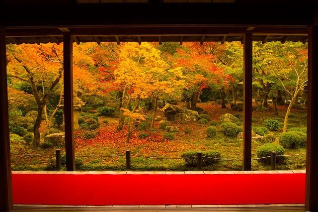 photo：Shutterstock