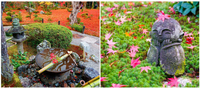 photo：Shutterstock